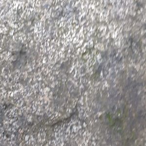 Meet your Posher, Arley